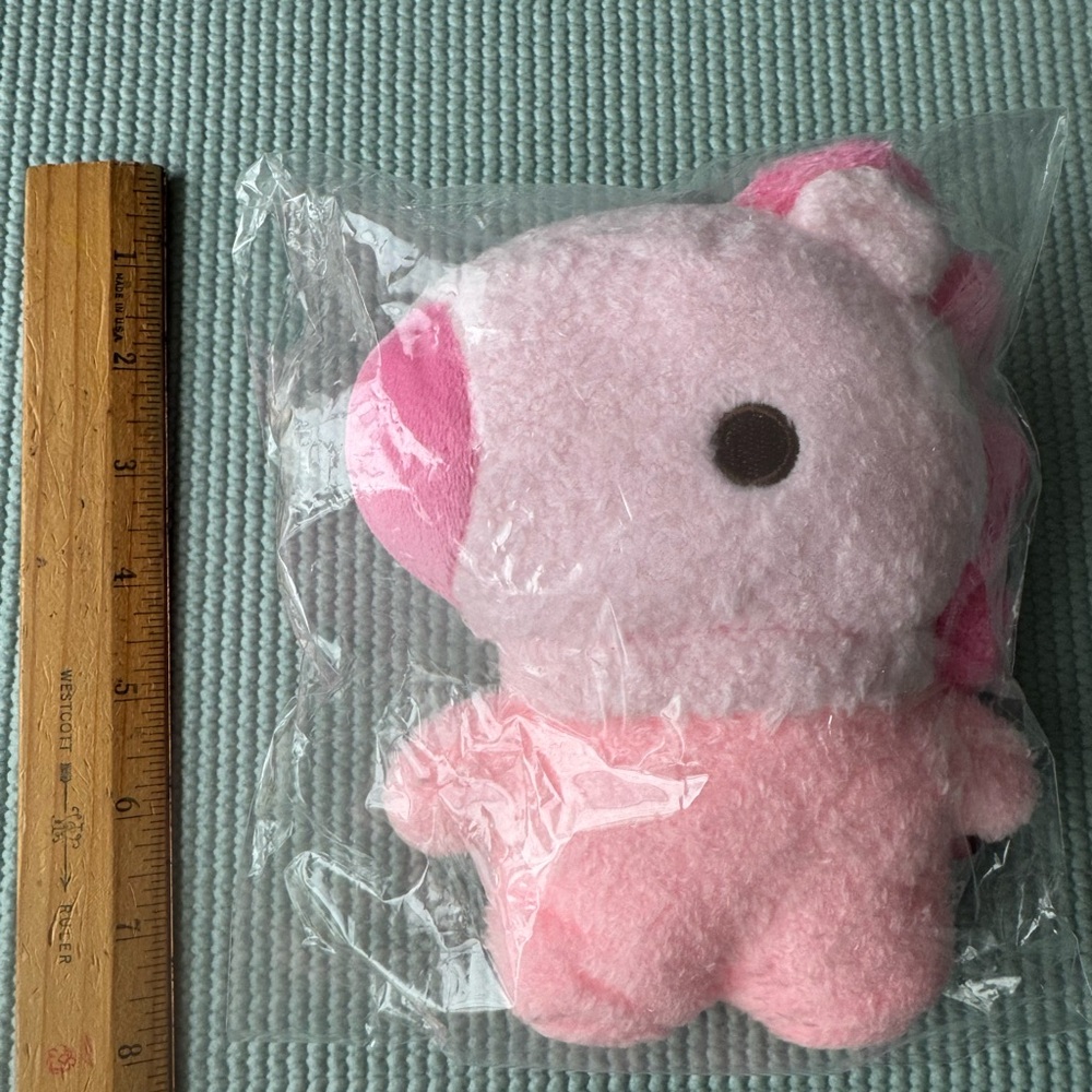 BT21 Line Friends Mang Plush